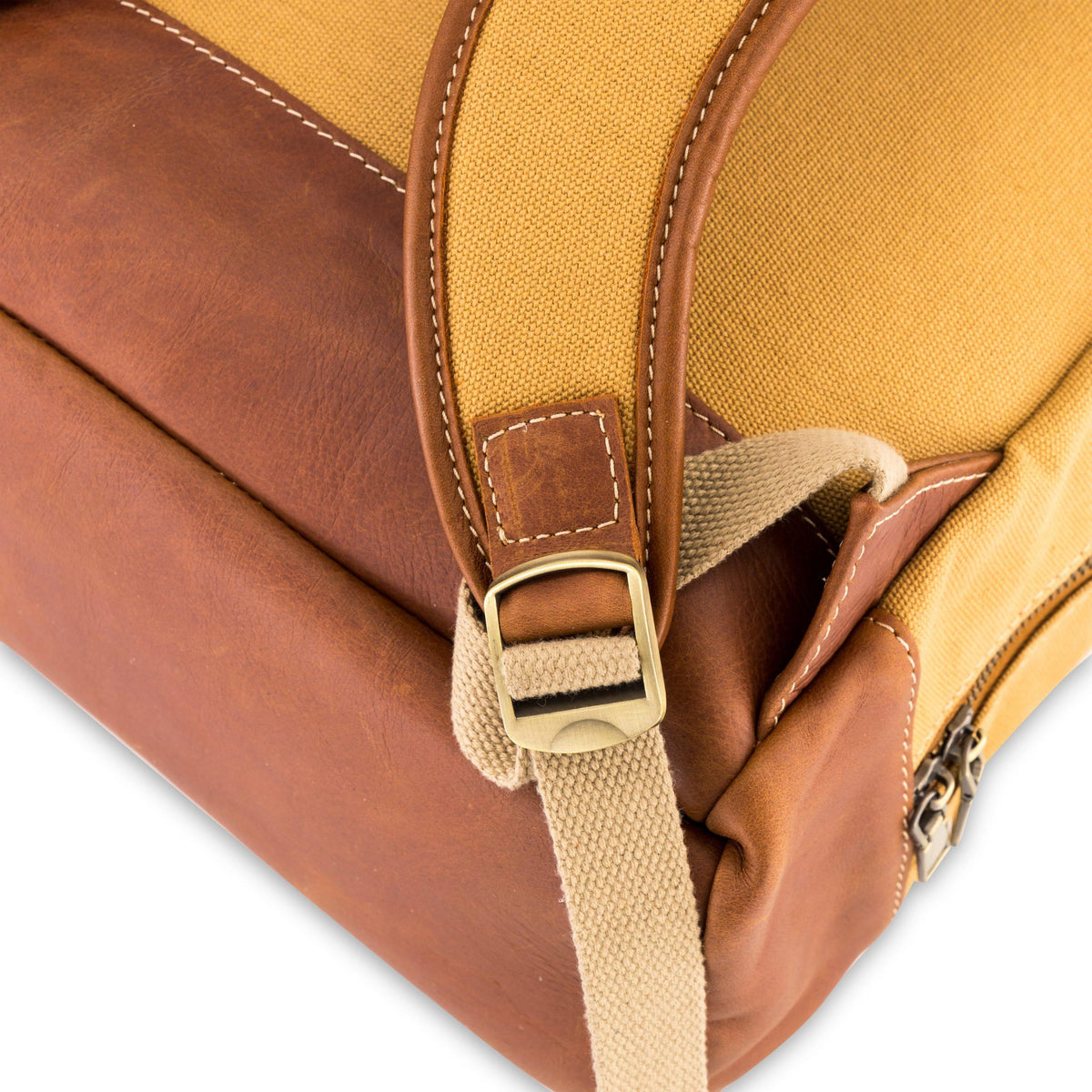 #Color_tan canvas