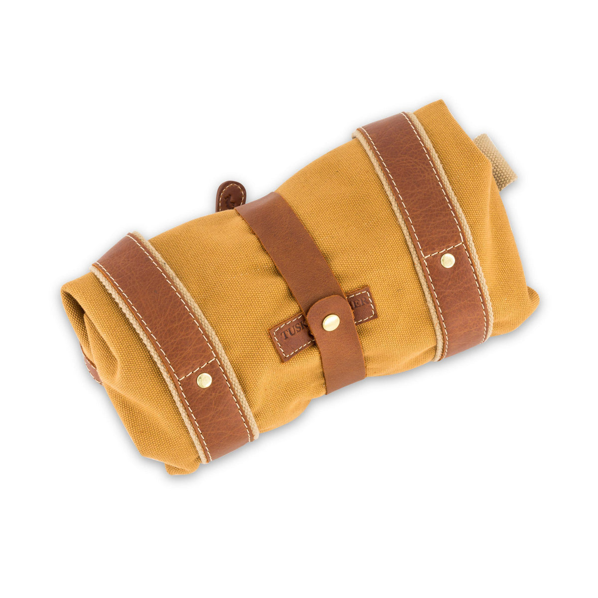 #Color_tan canvas