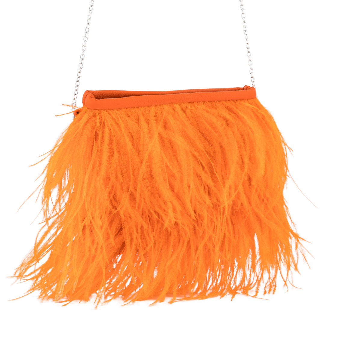 #Color_Orange