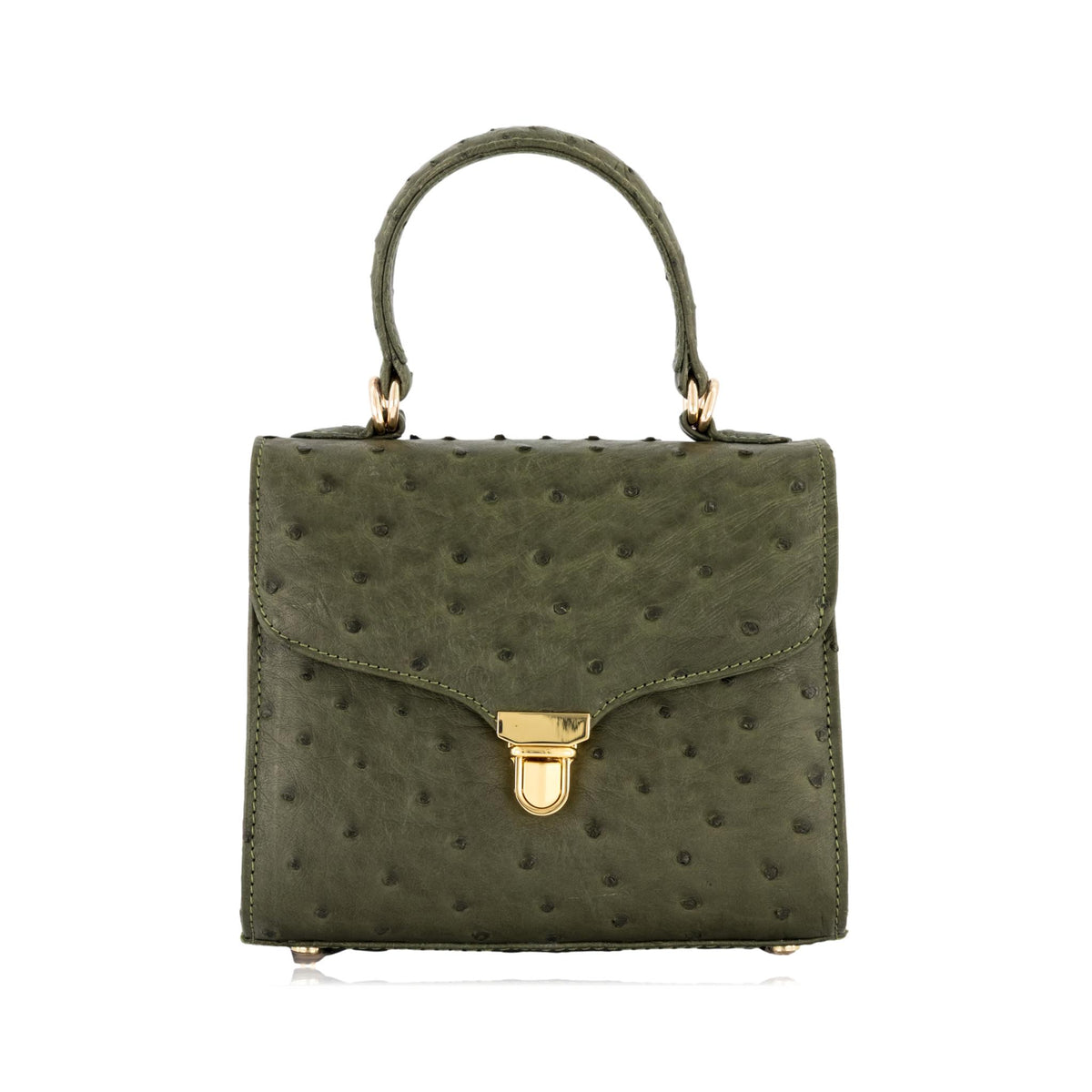#Color_olive green