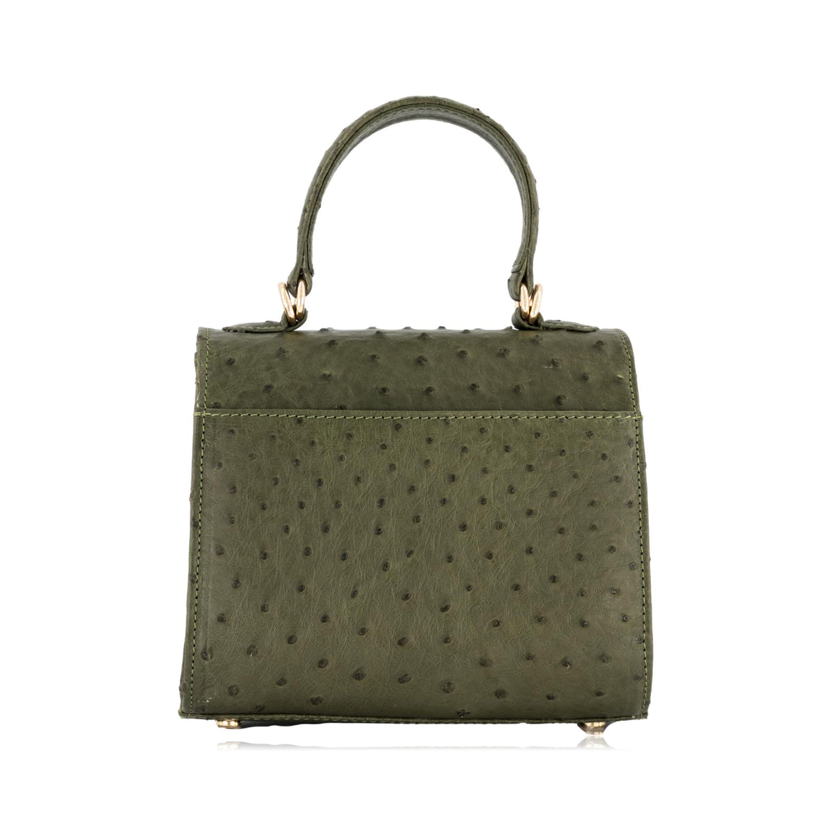 #Color_olive green