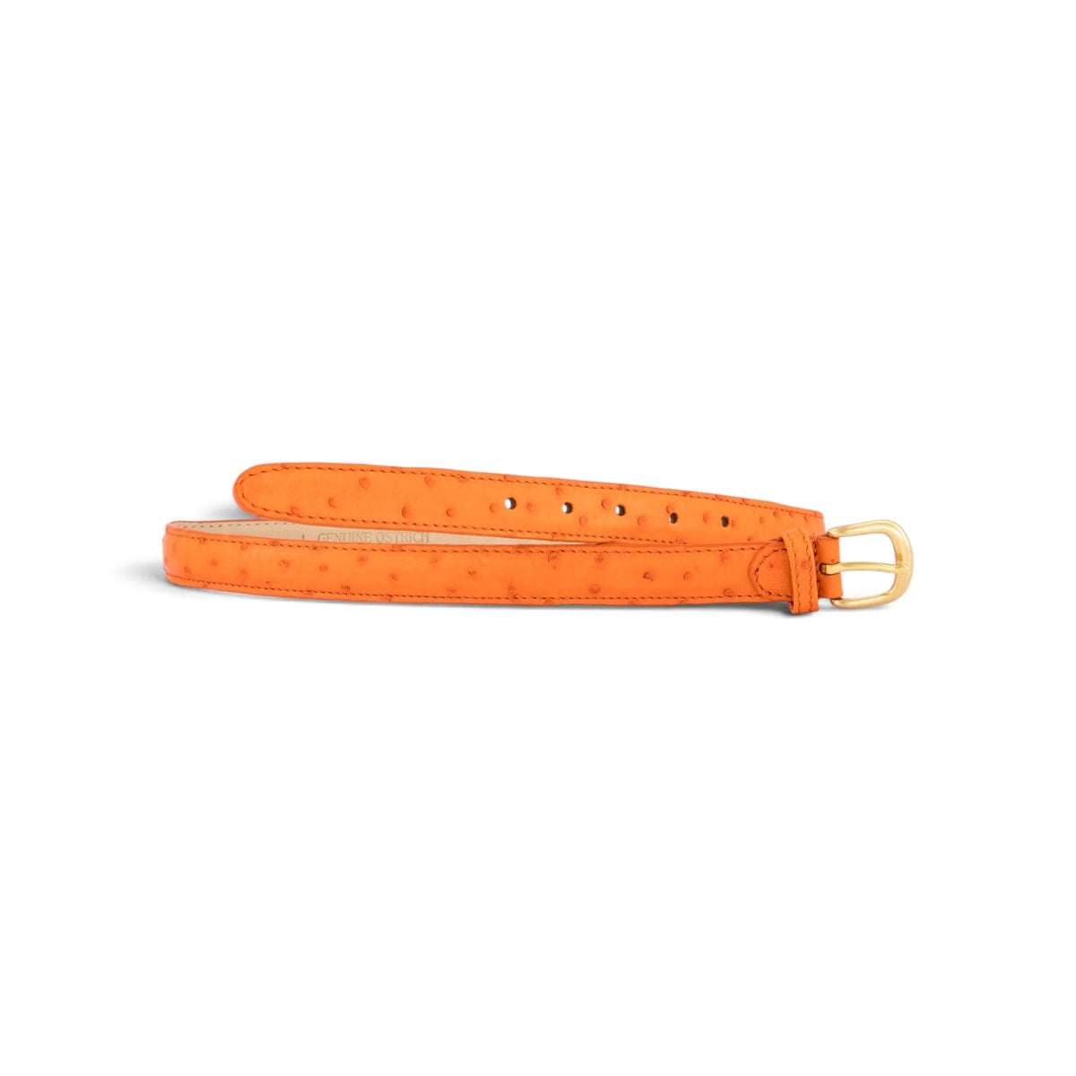 #Color_orange