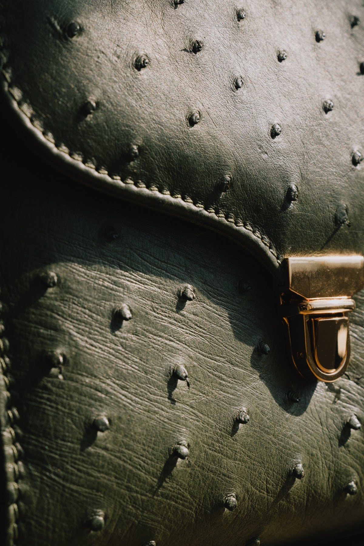 Close detail of ostrich leather texture and brass clasp on a Tuska bag